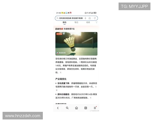 羽毛球价格一路飙升中产阶层运动休闲梦正在被高成本击碎
